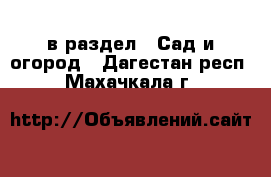  в раздел : Сад и огород . Дагестан респ.,Махачкала г.